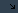 Web design e posizionamento internet.